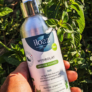 Hydrolat de menthe poivrée 150 ml
